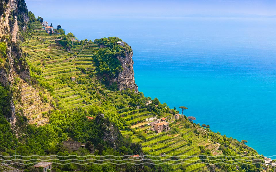 Amalfi Yacht Charter Guide Wines Amalfi Yacht Charter Guide Wines
