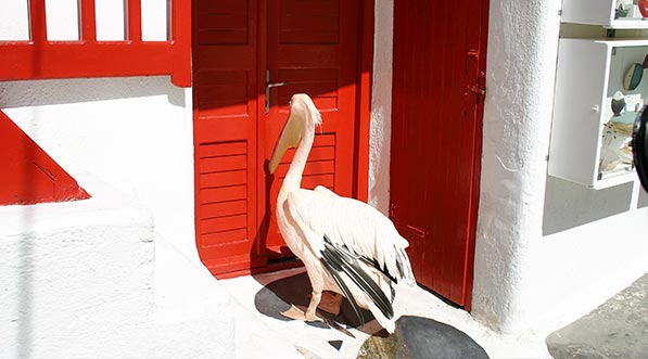 mykonos-3.jpg