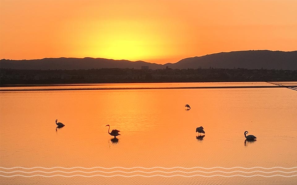 Sardinia Yacht Charter Highlight Saline