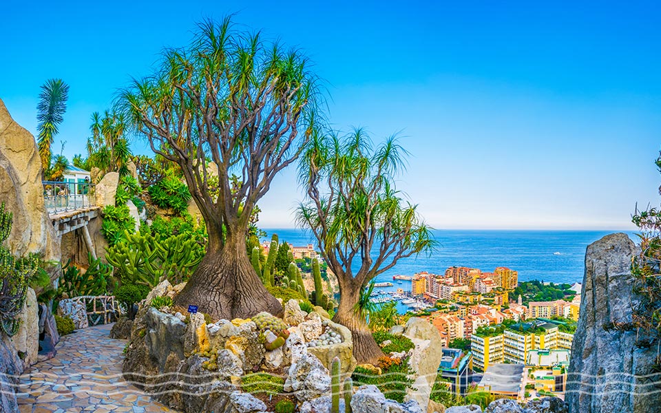 Yacht Charter Hotspot Monaco France Jardin Exotique Yacht Charter Hotspot Monaco France Jardin Exotique